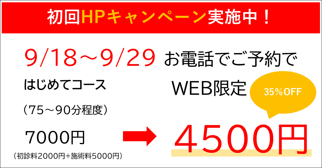 カイロプラクティック オリキュロセラピー ほぼ未使用 - その他